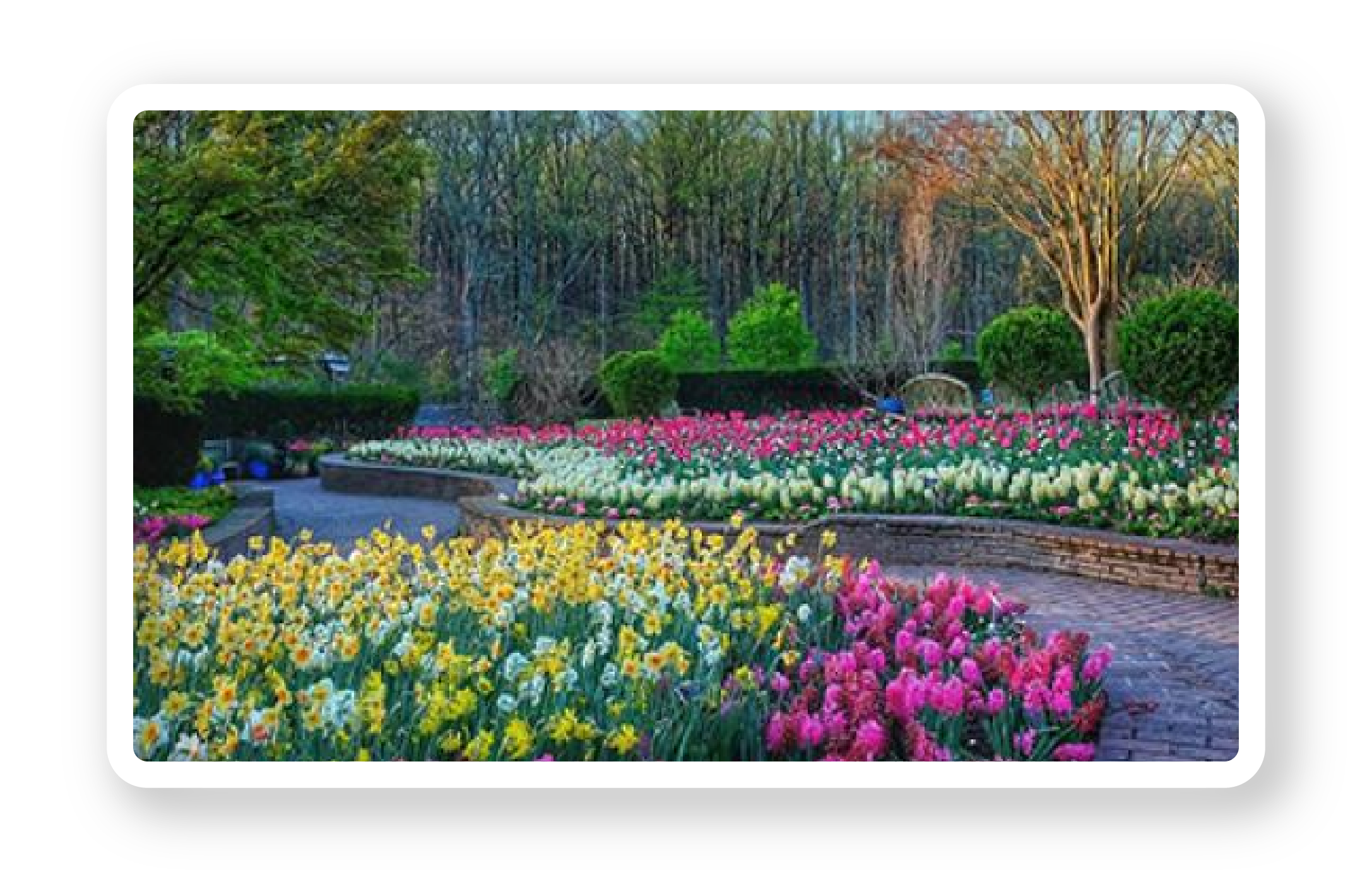 Landscape Garden Park
