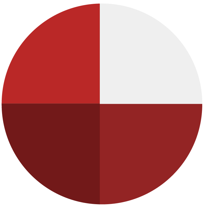 Fractional investment icon